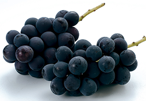 ぶどう
