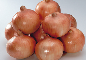 タマネギ