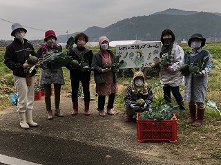 野菜作り講習