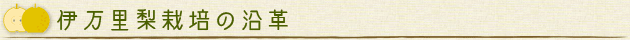伊万里梨栽培の沿革