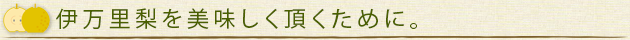伊万里梨　幸水　豊水　新高