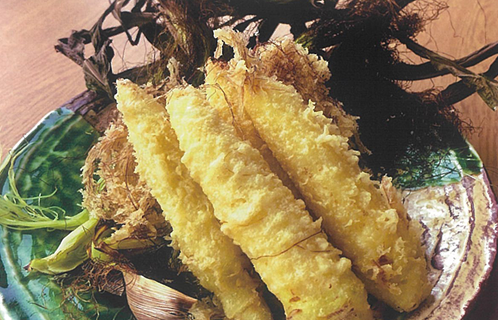 朝取りヤングコーンの天ぷら